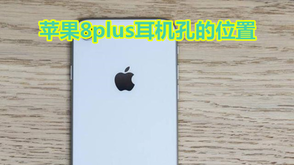 苹果8plus耳机孔的位置