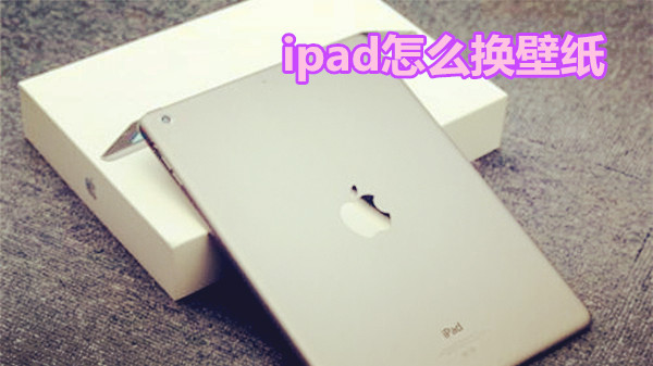 ipad怎么换壁纸