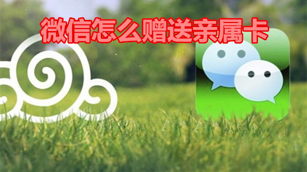 微信怎么赠送亲属卡