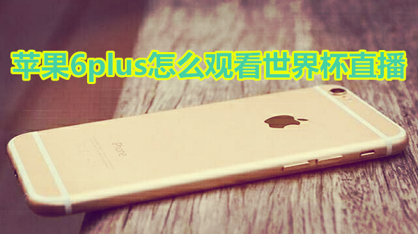 苹果6plus怎么观看世界杯直播