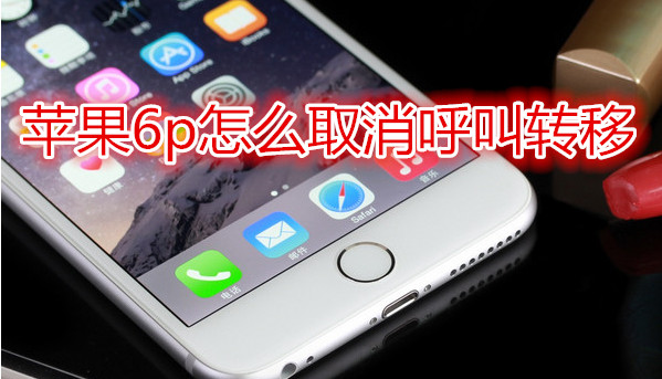 苹果6plus怎么取消呼叫转移