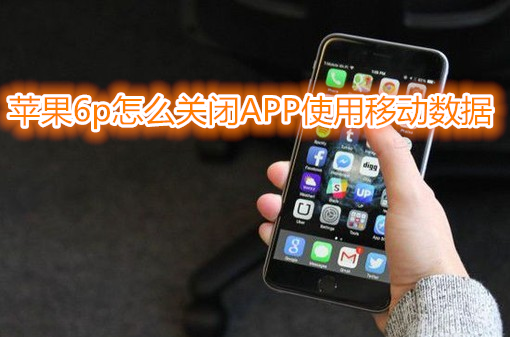 苹果6plus怎么关心APP使用移动数据