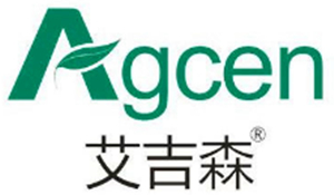 艾吉森
