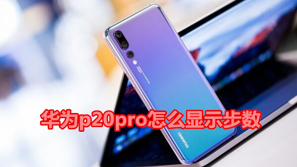 华为p20pro怎么显示步数