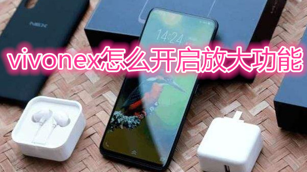 vivonex怎么开启放大功能