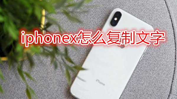 iphonex怎么复制文字