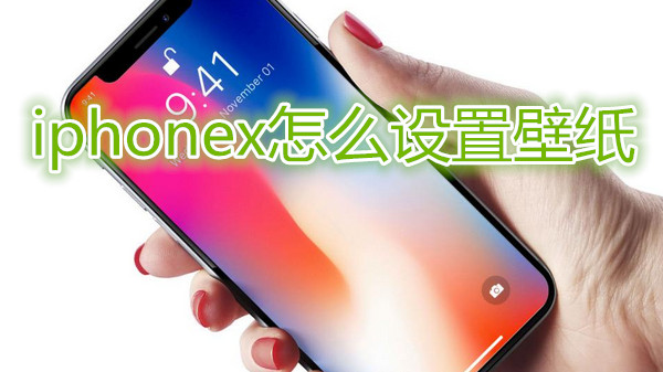 iphonex怎么设置壁纸