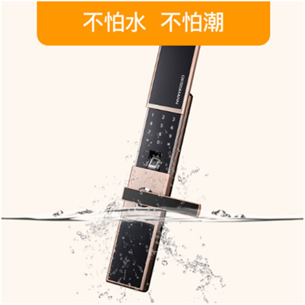 德施曼T520指纹锁图片