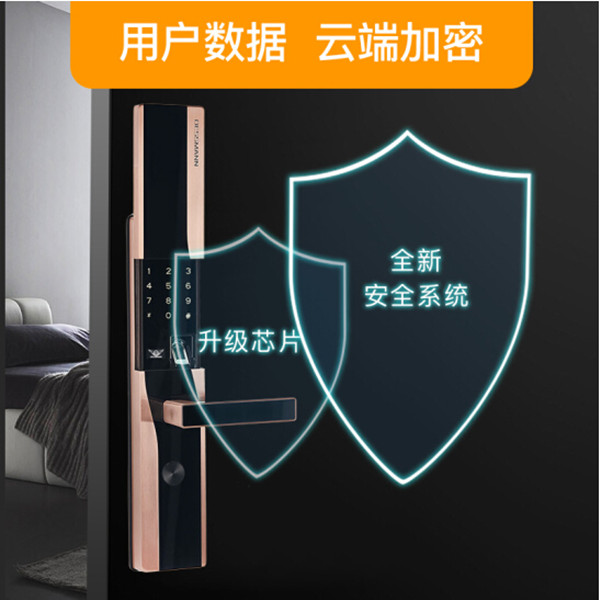 德施曼D830指纹锁图片
