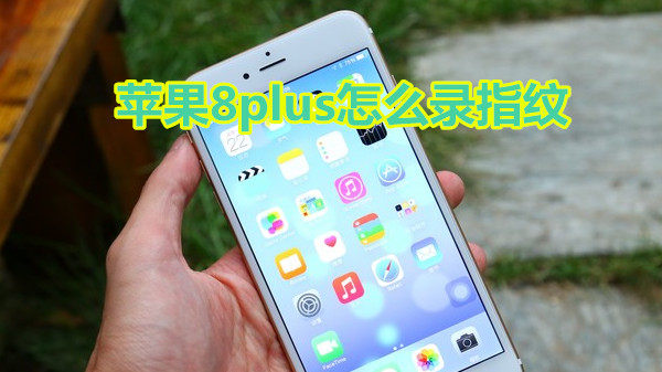 苹果8plus怎么录指纹