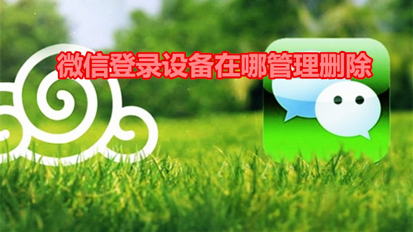 微信登录设备在哪管理删除