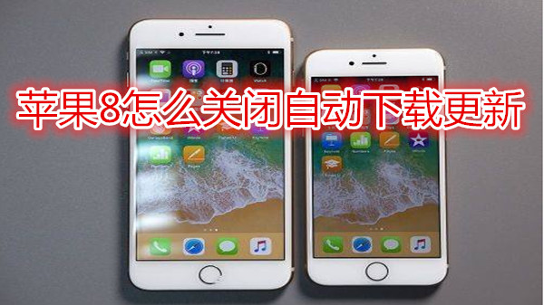 苹果8怎么关闭自动下载更新