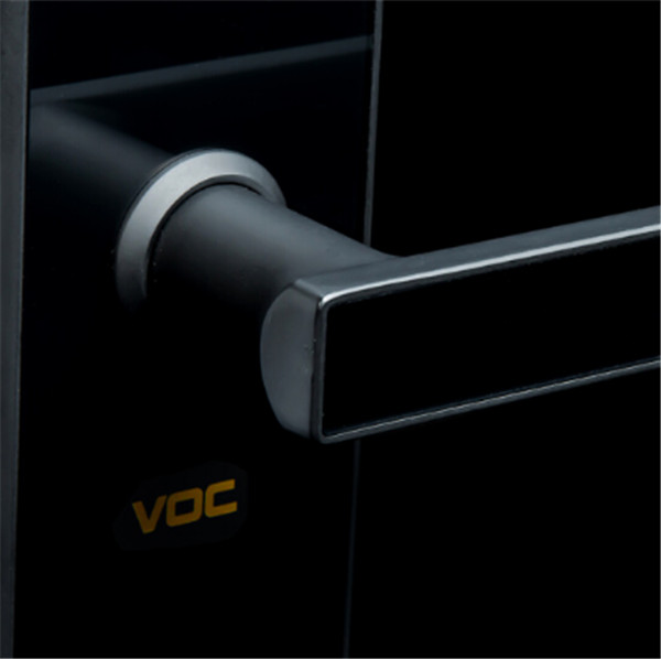 voc指纹锁X5图片