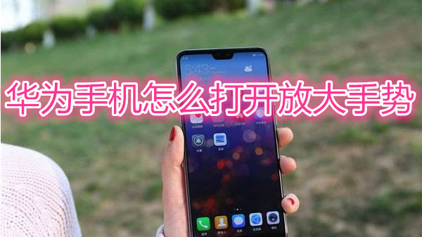 华为手机怎么打开放大手势