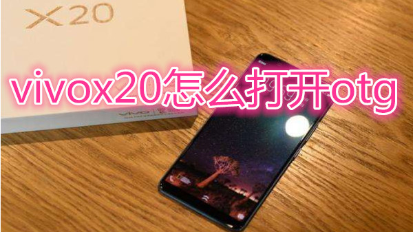 vivox20怎么打开otg