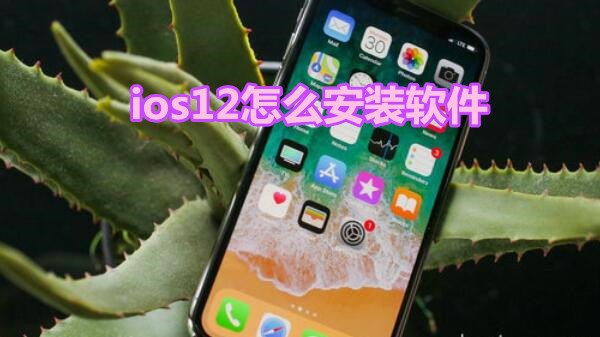 ios12怎么安装软件