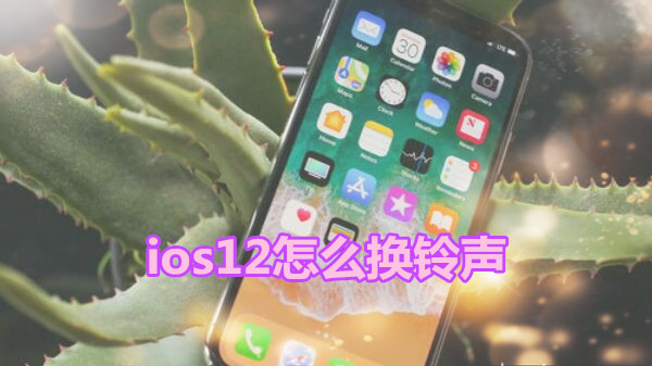 ios12怎么换铃声