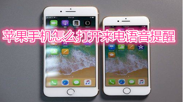 苹果手机怎么打开来电语音提醒