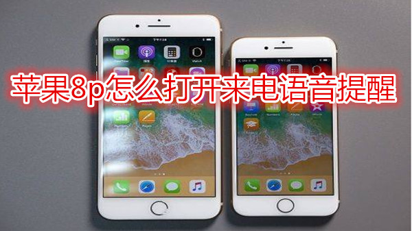苹果8plus怎么打开来电语音提醒