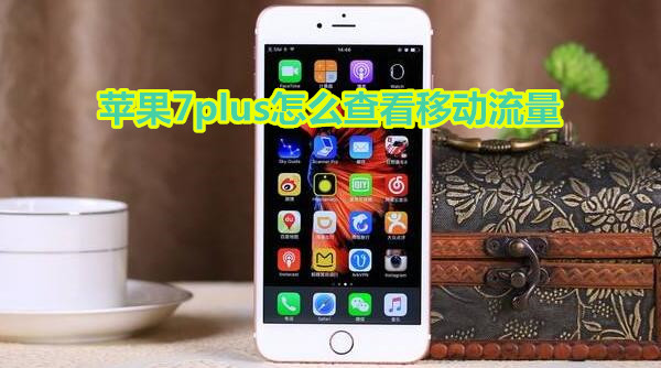 苹果7plus怎么查看移动流量