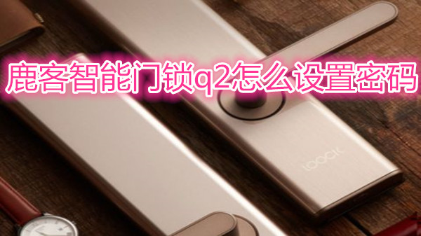 鹿客智能门锁q2怎么设置密码