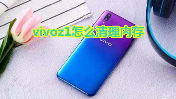 vivoz1怎么清理内存