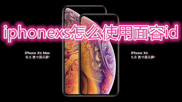 iphonexs怎么使用面容id