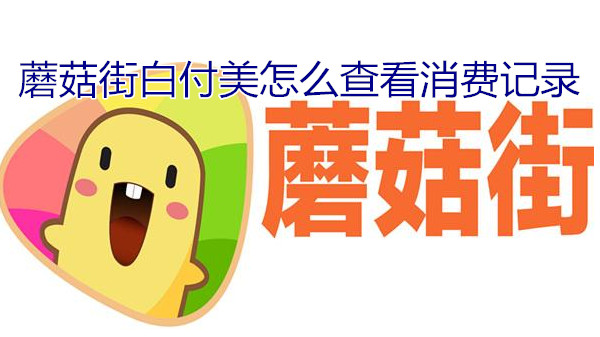 蘑菇街白付美怎么查看消费记录