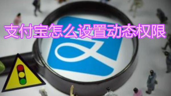 支付宝怎么设置动态权限
