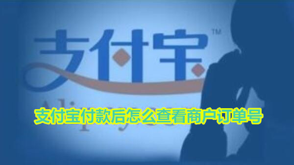支付宝付款后怎么查看商户订单号