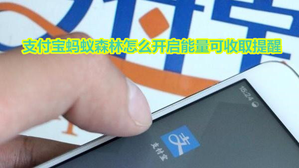 支付宝蚂蚁森林怎么开启能量可收取提醒
