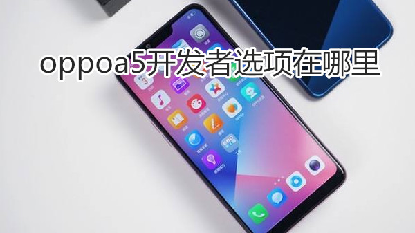 oppoa5开发者选项在哪里