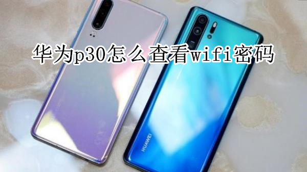 华为p30怎么查看wifi密码