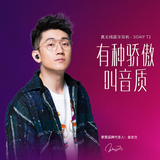 索爱t2耳机图片
