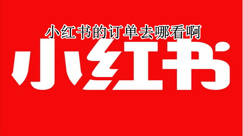 小红书的订单去哪看啊