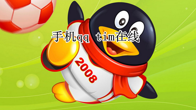 手机qqtim在线