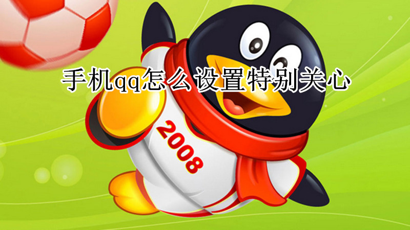手机qq怎么设置特别关心