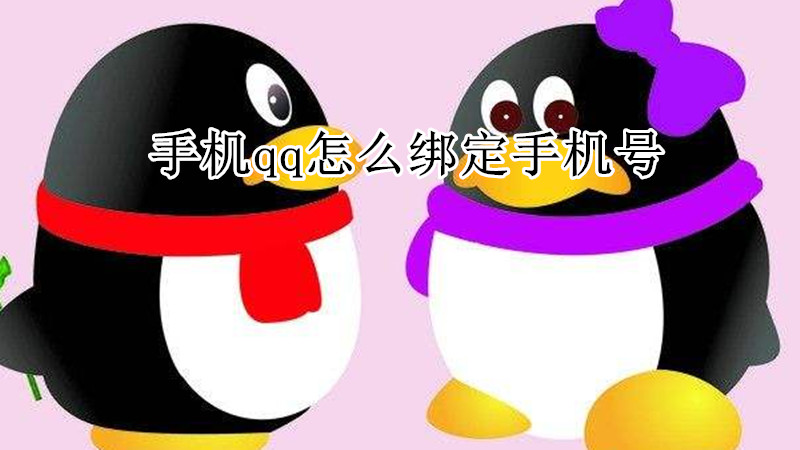 手机qq怎么绑定手机号