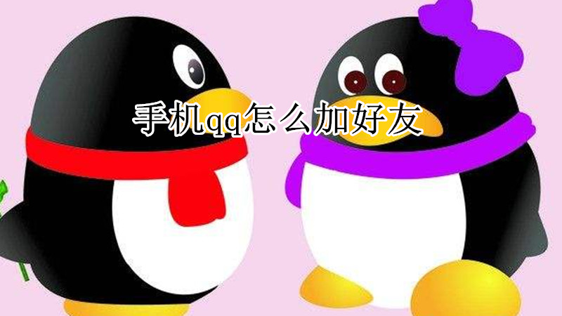 手机qq怎么加好友