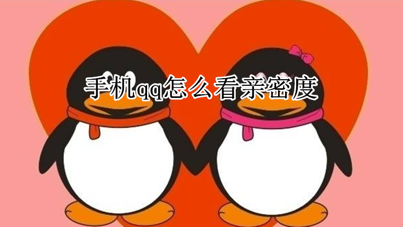 手机qq怎么看亲密度