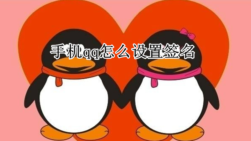 手机qq怎么设置签名