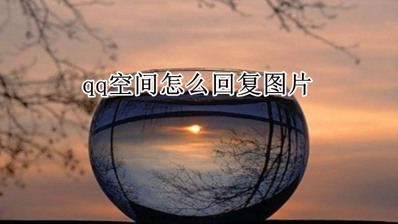 qq空间怎么回复图片