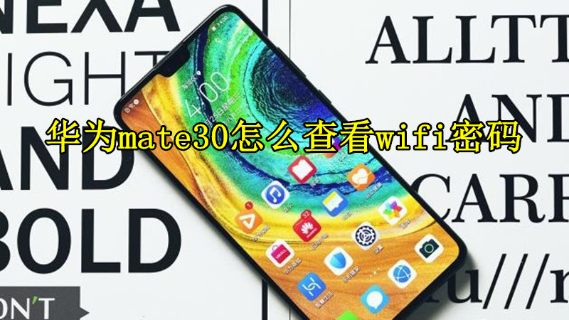华为mate30怎么查看wifi密码