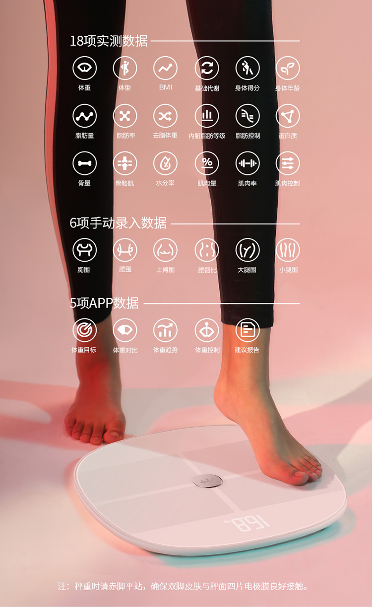 乐心S11智能体脂秤图片