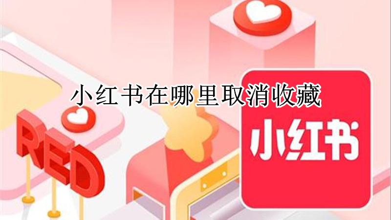 小红书在哪里取消收藏