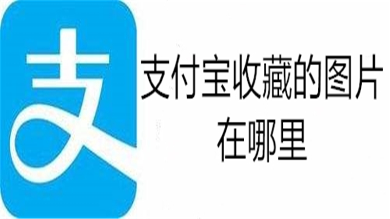支付宝收藏的图片在哪里
