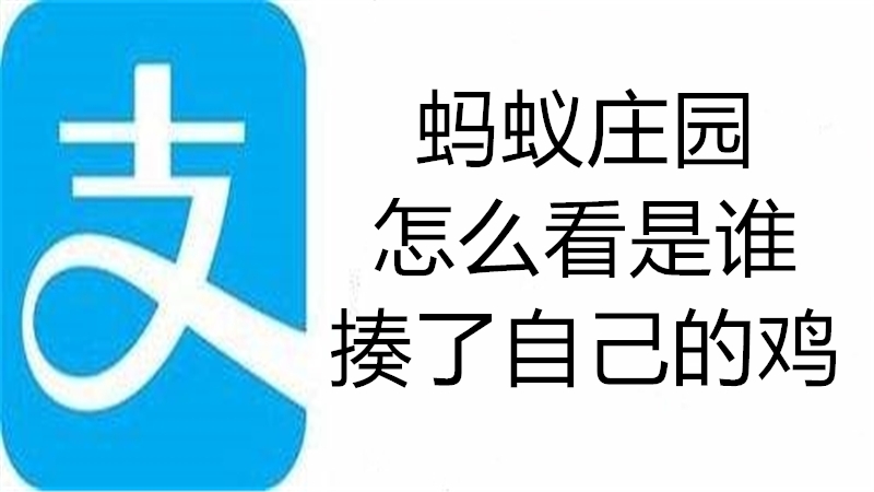 蚂蚁庄园怎么看是谁揍了自己的鸡