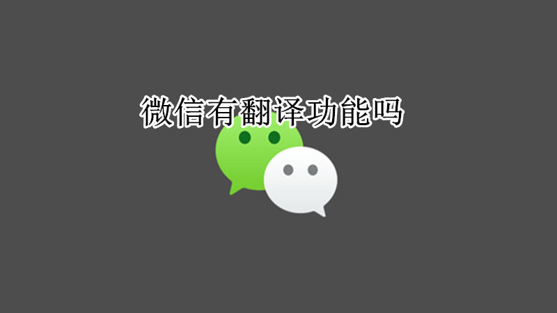 微信有翻译功能吗