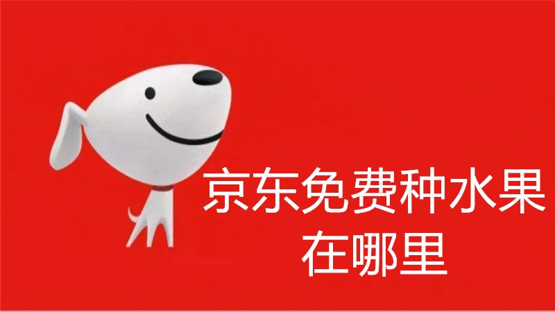 京东免费种水果在哪里