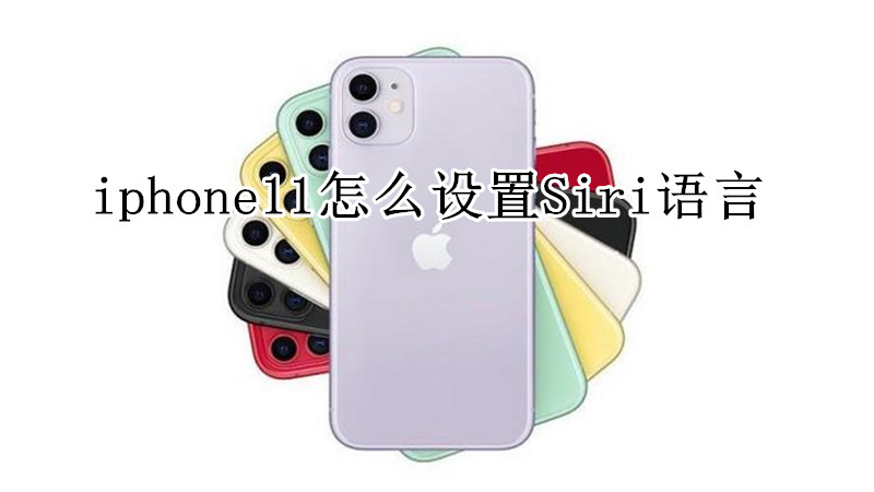 iphone11怎么设置Siri语言